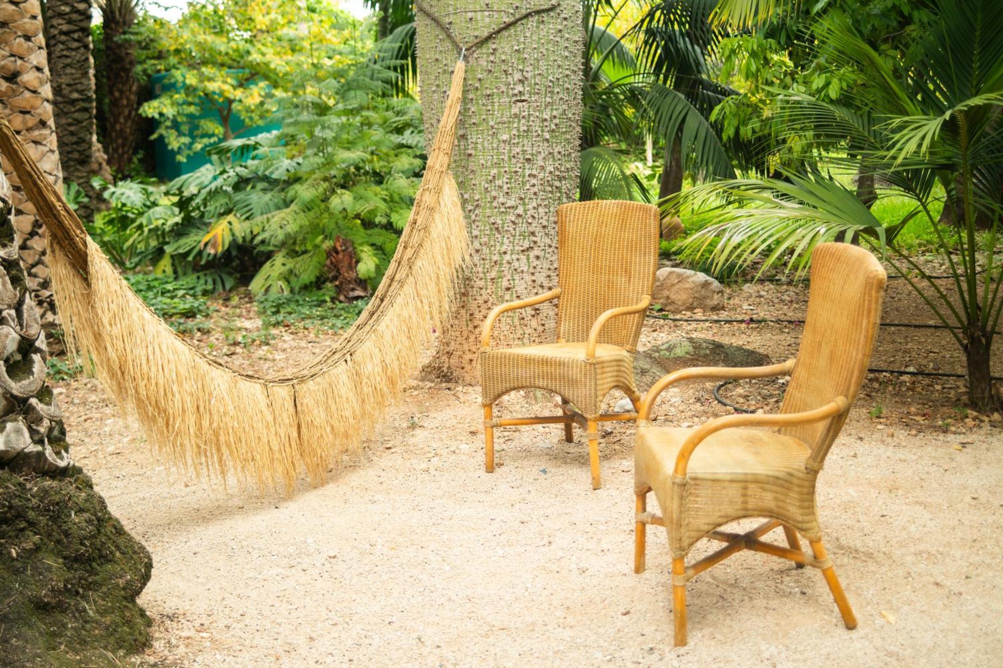 El Botanico De Sagra Hotel Buitenkant foto