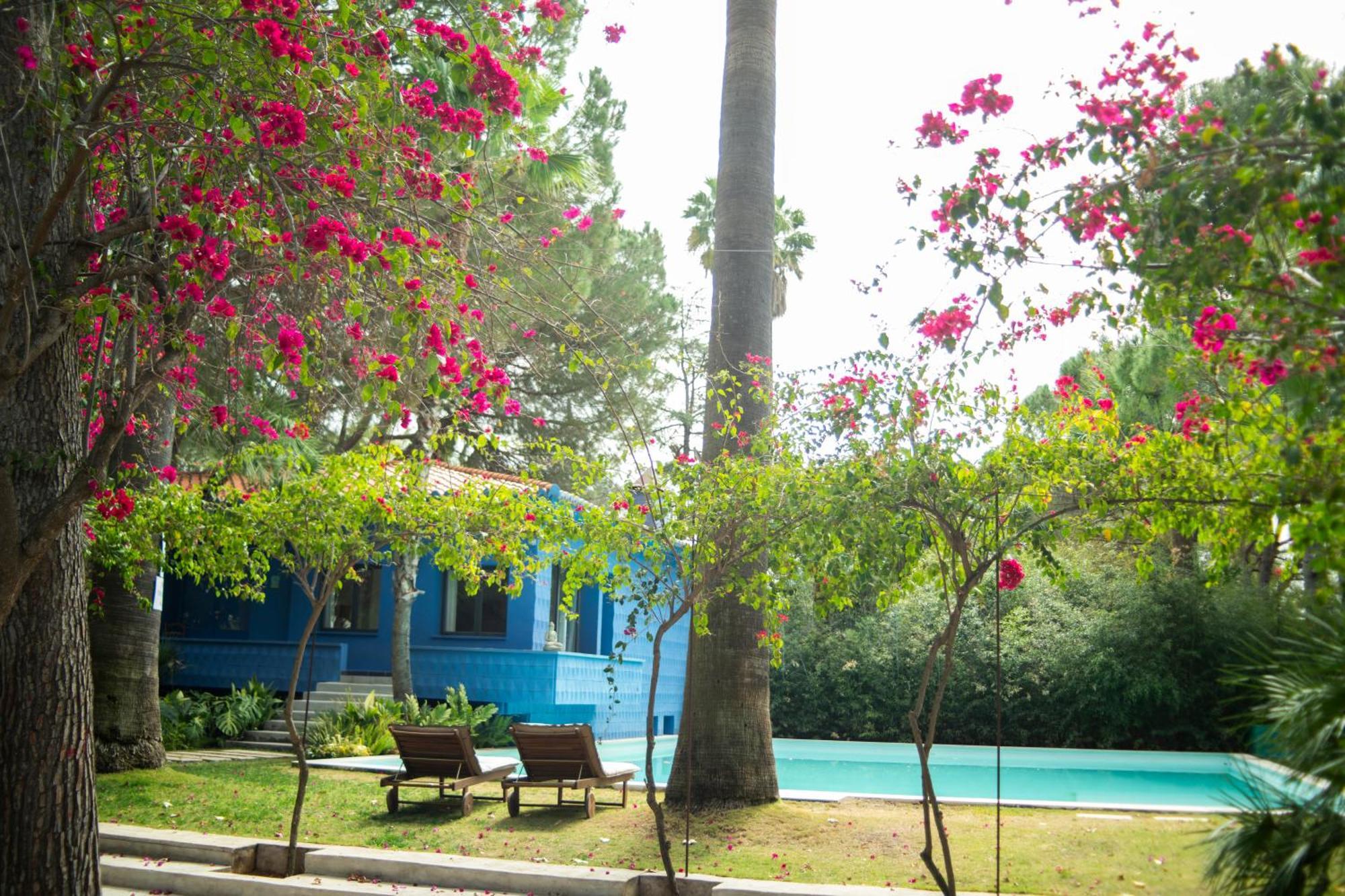 El Botanico De Sagra Hotel Buitenkant foto