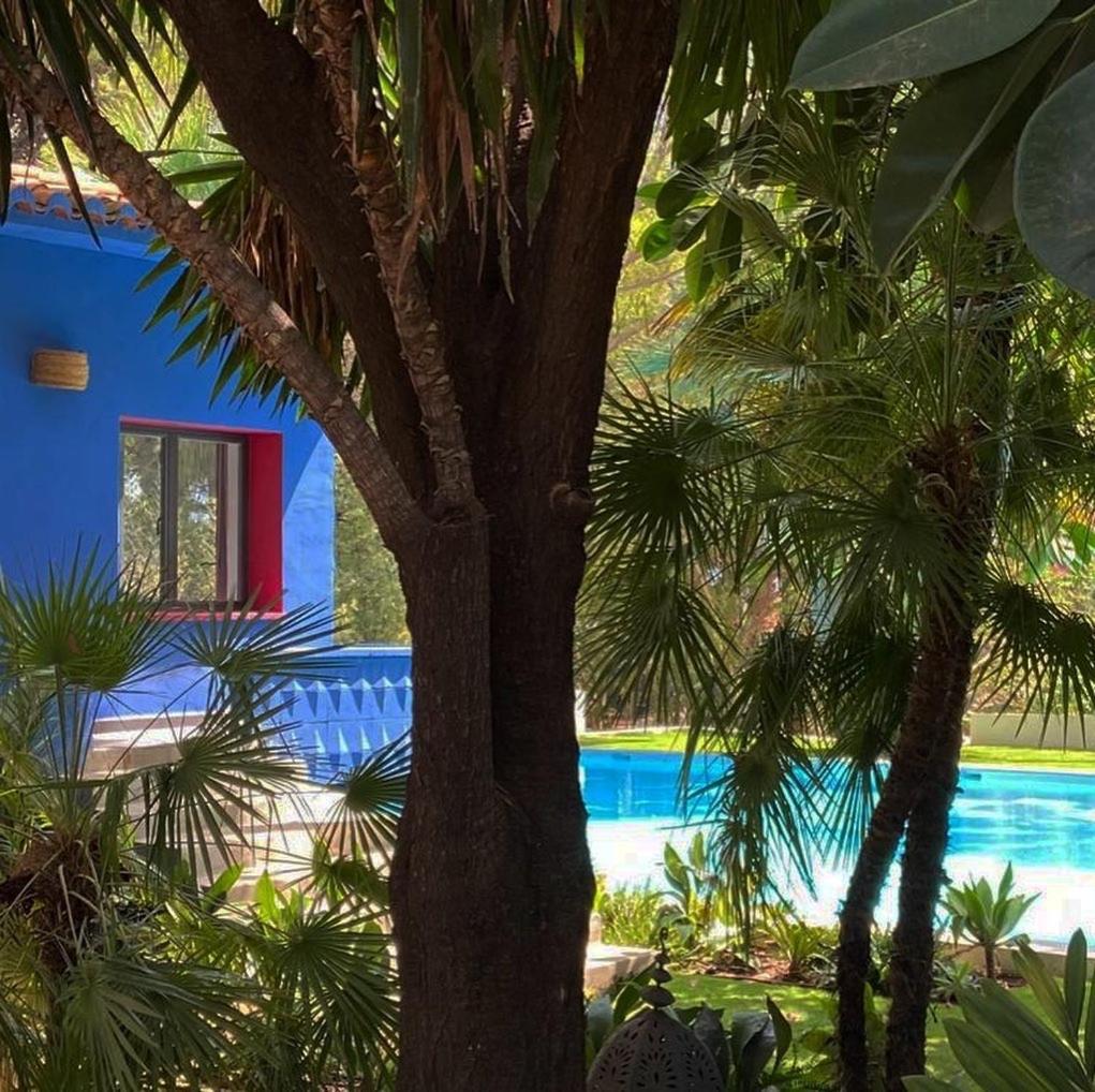 El Botanico De Sagra Hotel Buitenkant foto