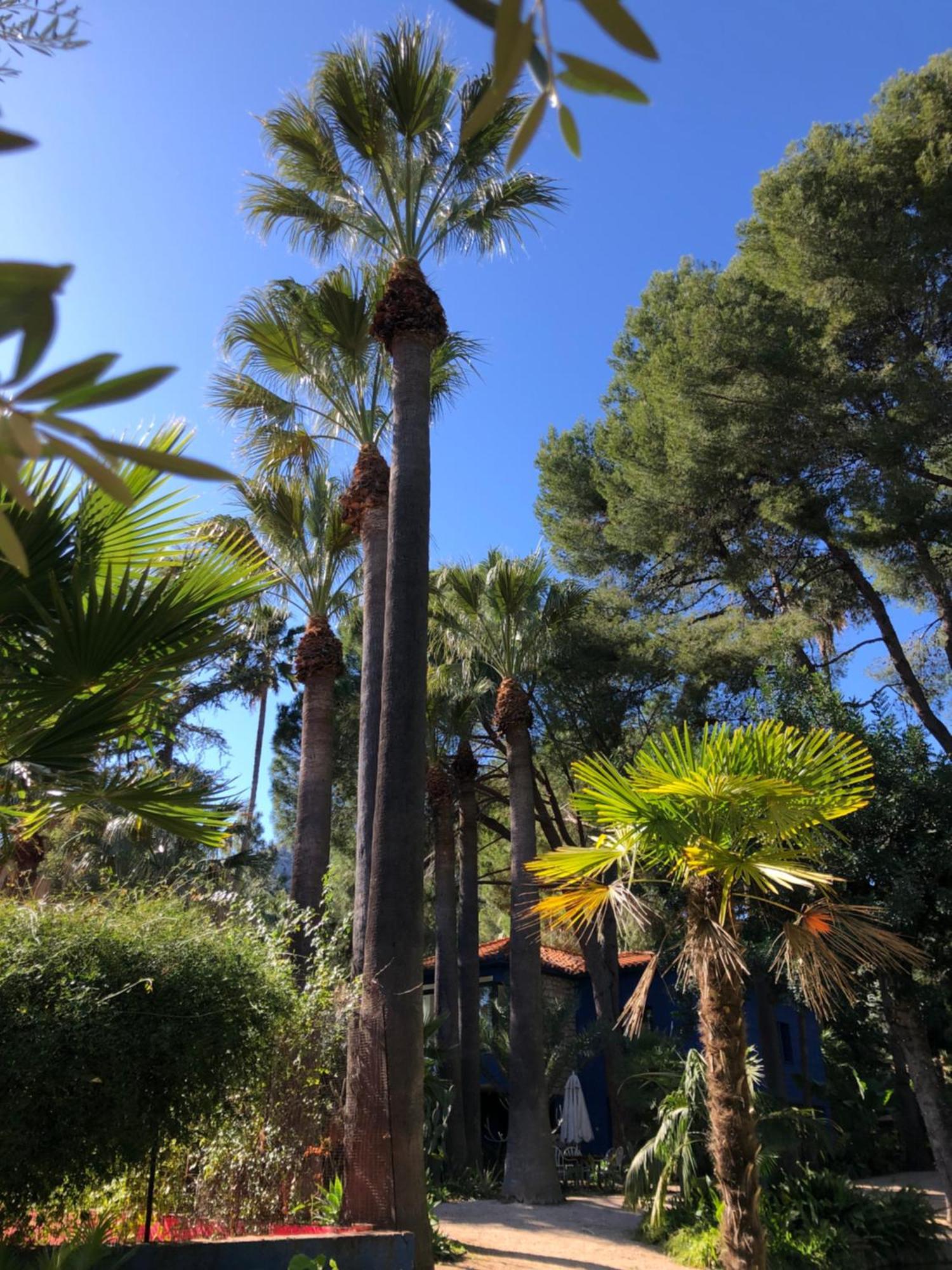 El Botanico De Sagra Hotel Buitenkant foto