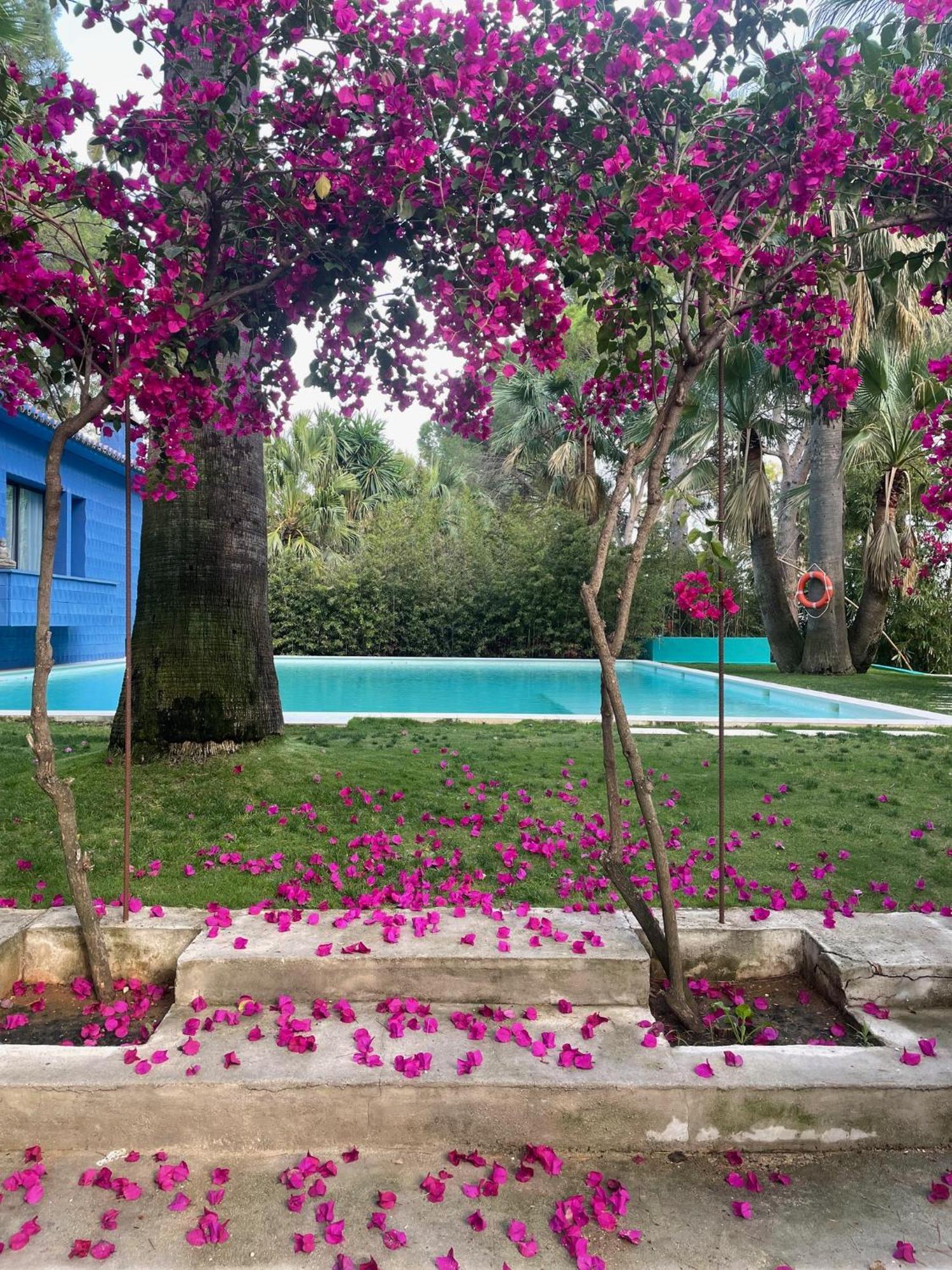 El Botanico De Sagra Hotel Buitenkant foto